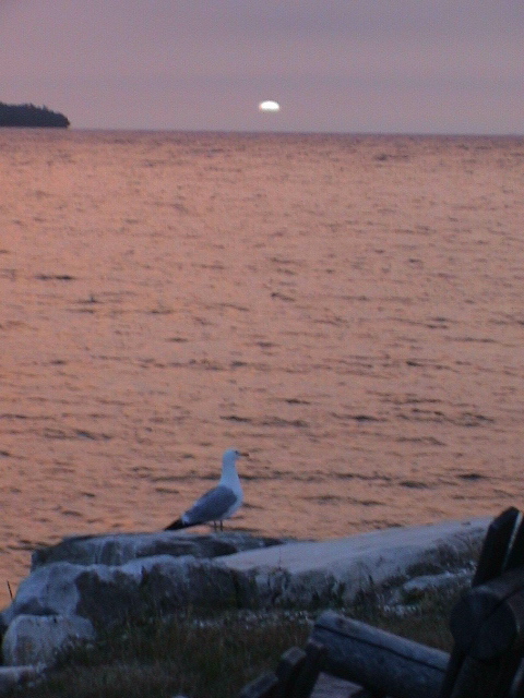 DSC00013.JPG