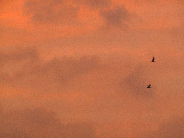 DSC00019.JPG