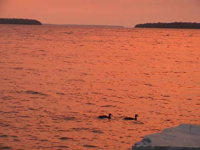 DSC00020.JPG