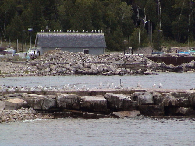 DSC00031.JPG