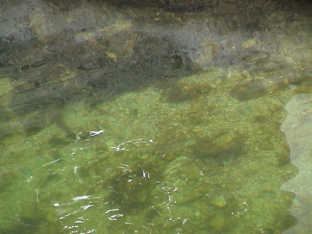 DSC00032.JPG