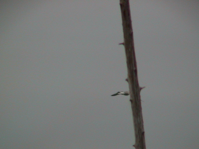 DSC00044.JPG
