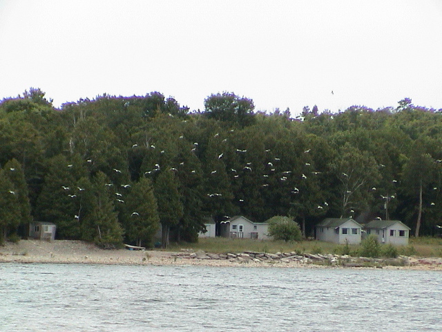 DSC00046.JPG