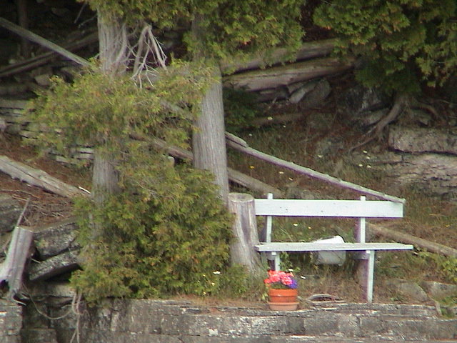DSC00049.JPG