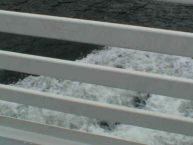 DSC00051.JPG