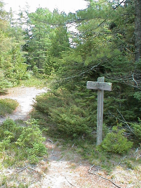 DSC00019.JPG