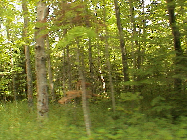 DSC00063.JPG