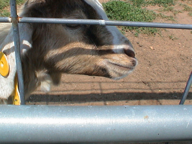 DSC00068.JPG