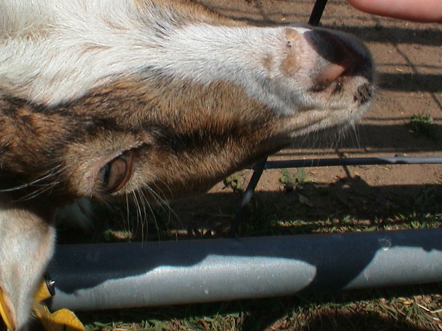 DSC00069.JPG