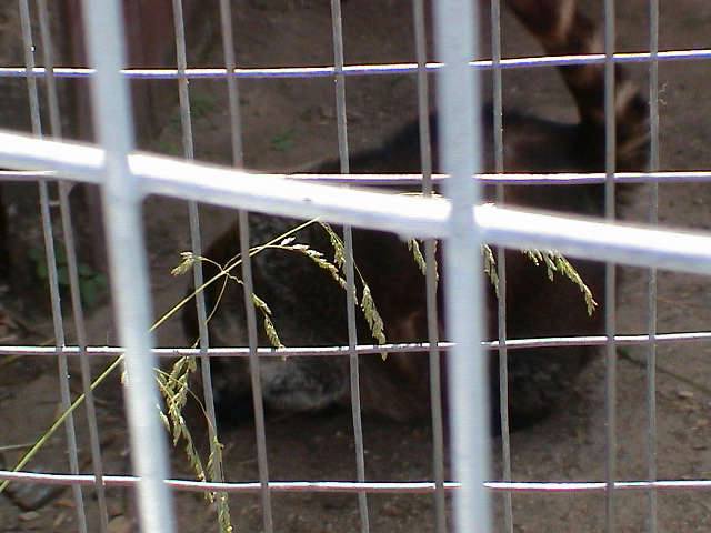DSC00071.JPG