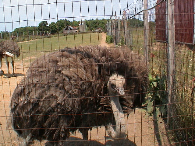 DSC00072.JPG