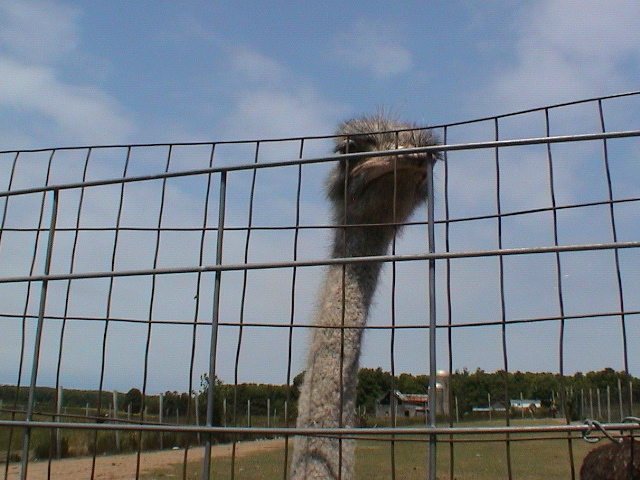 DSC00074.JPG