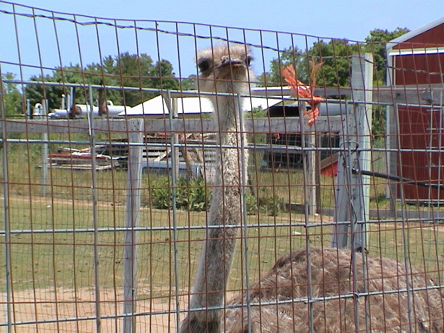 DSC00077.JPG