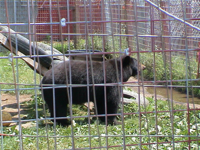 DSC00079.JPG