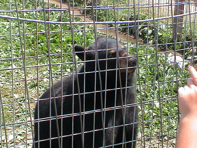 DSC00080.JPG