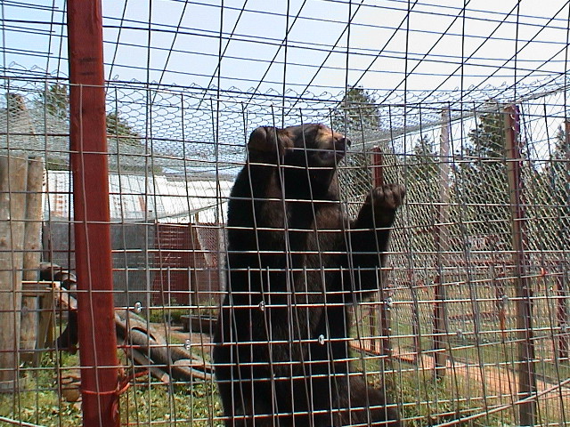 DSC00082.JPG