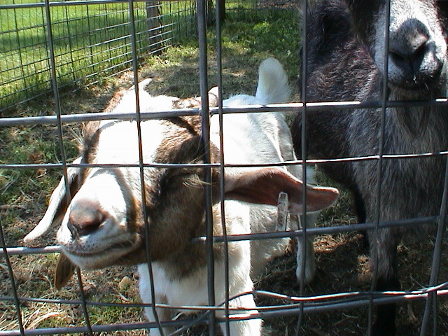 DSC00087.JPG