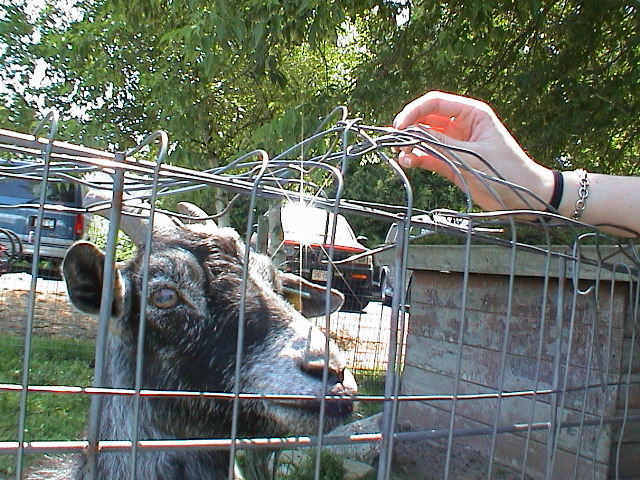 DSC00089.JPG
