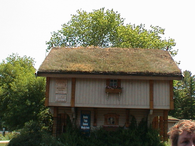 DSC00091.JPG