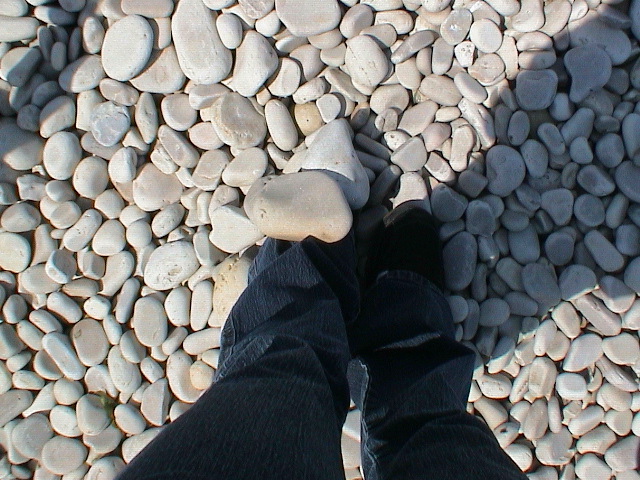 DSC00097.JPG