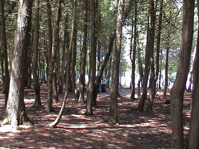DSC00102.JPG