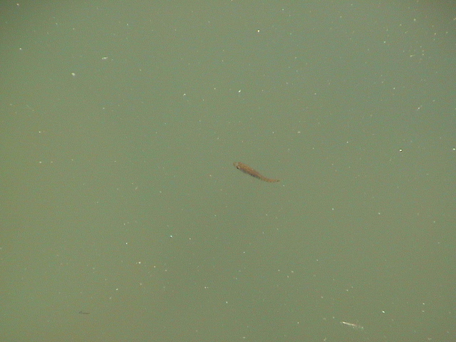 DSC00106.JPG