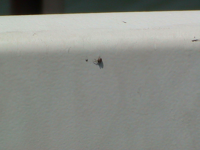 DSC00108.JPG