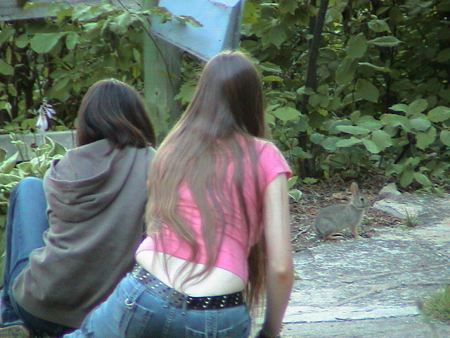 DSC00038.JPG