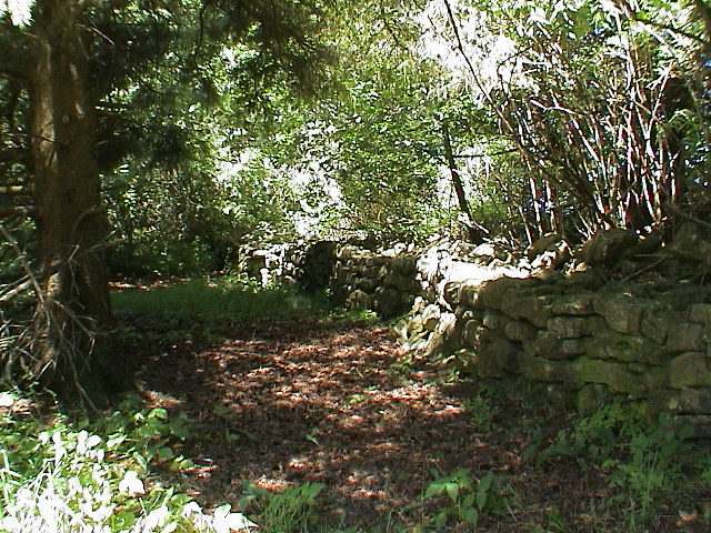 DSC00052.JPG