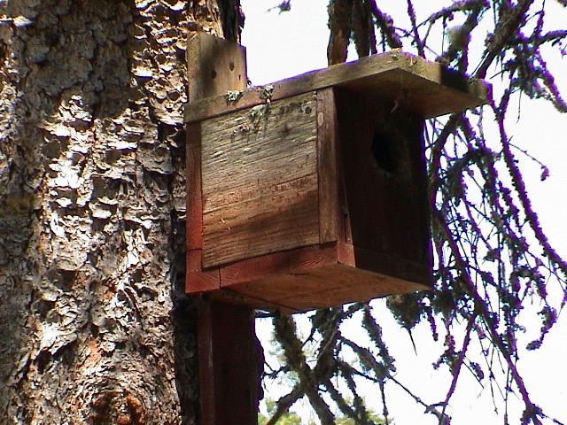 DSC00060.JPG