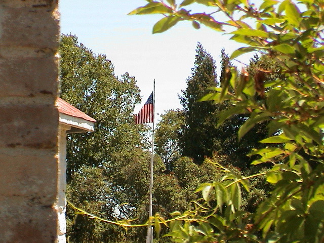 DSC00062.JPG
