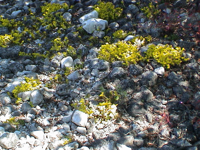 DSC00070.JPG