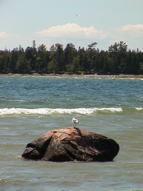DSC00071.JPG