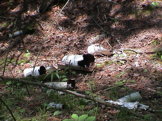 DSC00030.JPG