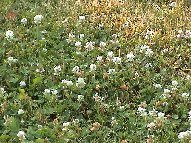 DSC00004.JPG