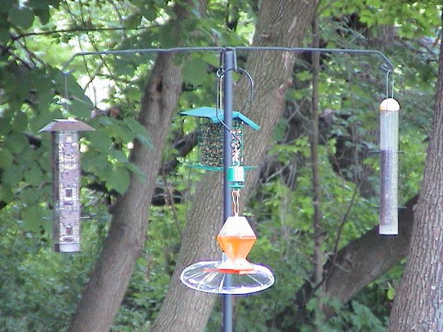 DSC00059.JPG