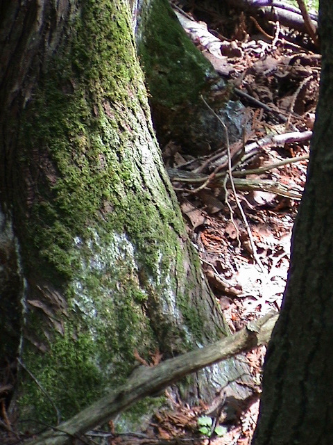 DSC00033.JPG