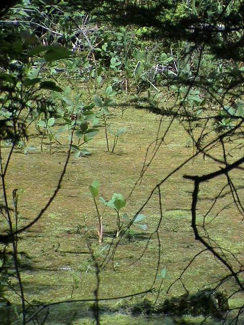 DSC00034.JPG