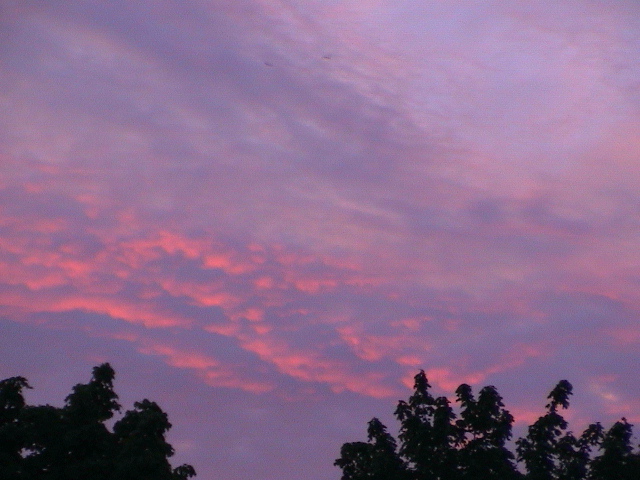 DSC00034.JPG