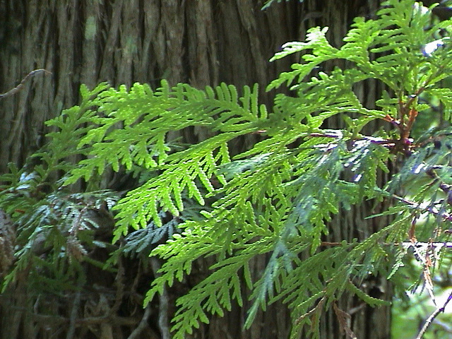 DSC00035.JPG