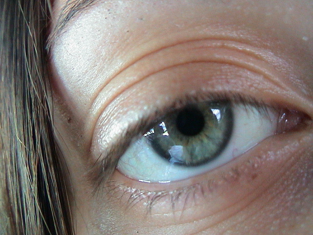 DSC00050.JPG