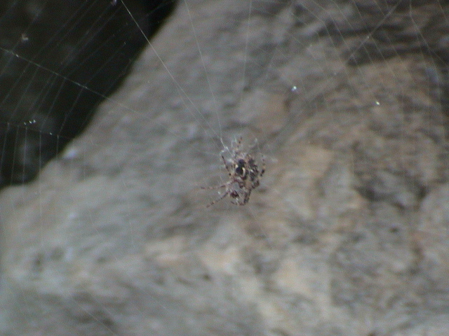 DSC00006.JPG