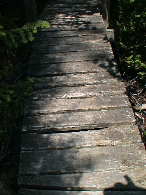 DSC00042.JPG