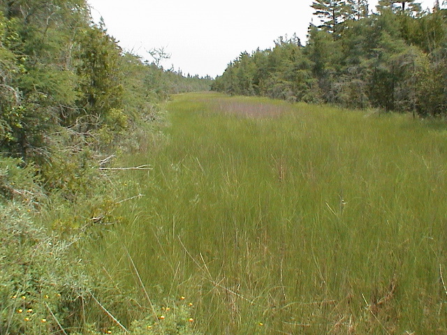 DSC00044.JPG