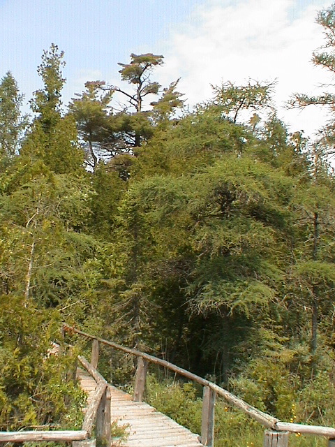 DSC00045.JPG