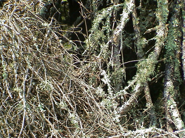 DSC00047.JPG