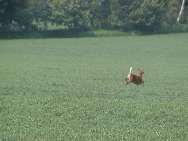 DSC00006.JPG
