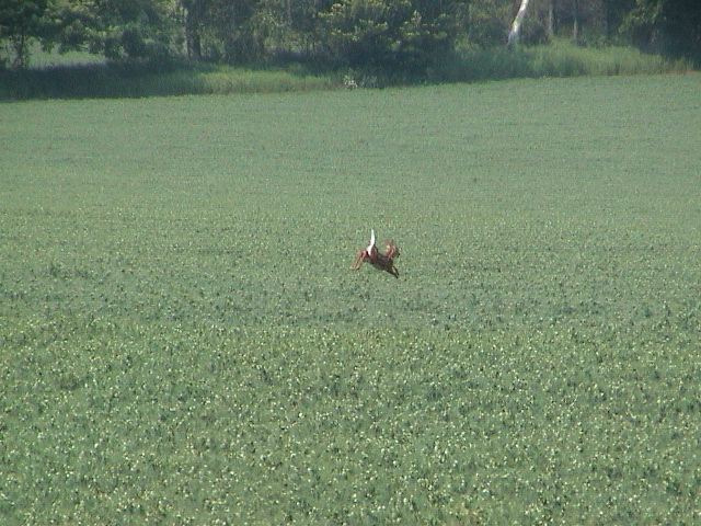 DSC00007.JPG