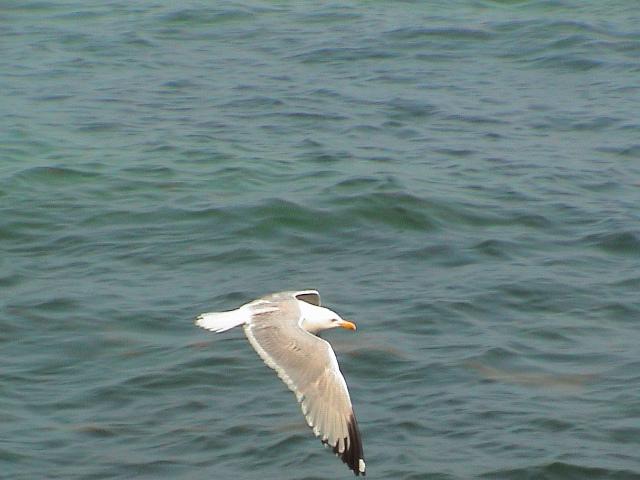 DSC00016.JPG