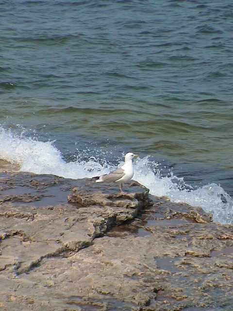 DSC00020.JPG